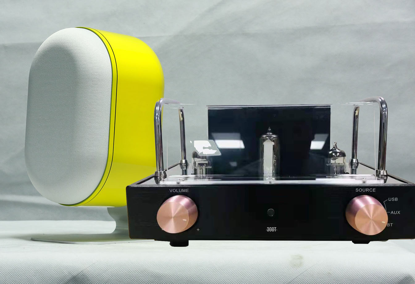 davecl tube amp and speaker QC2