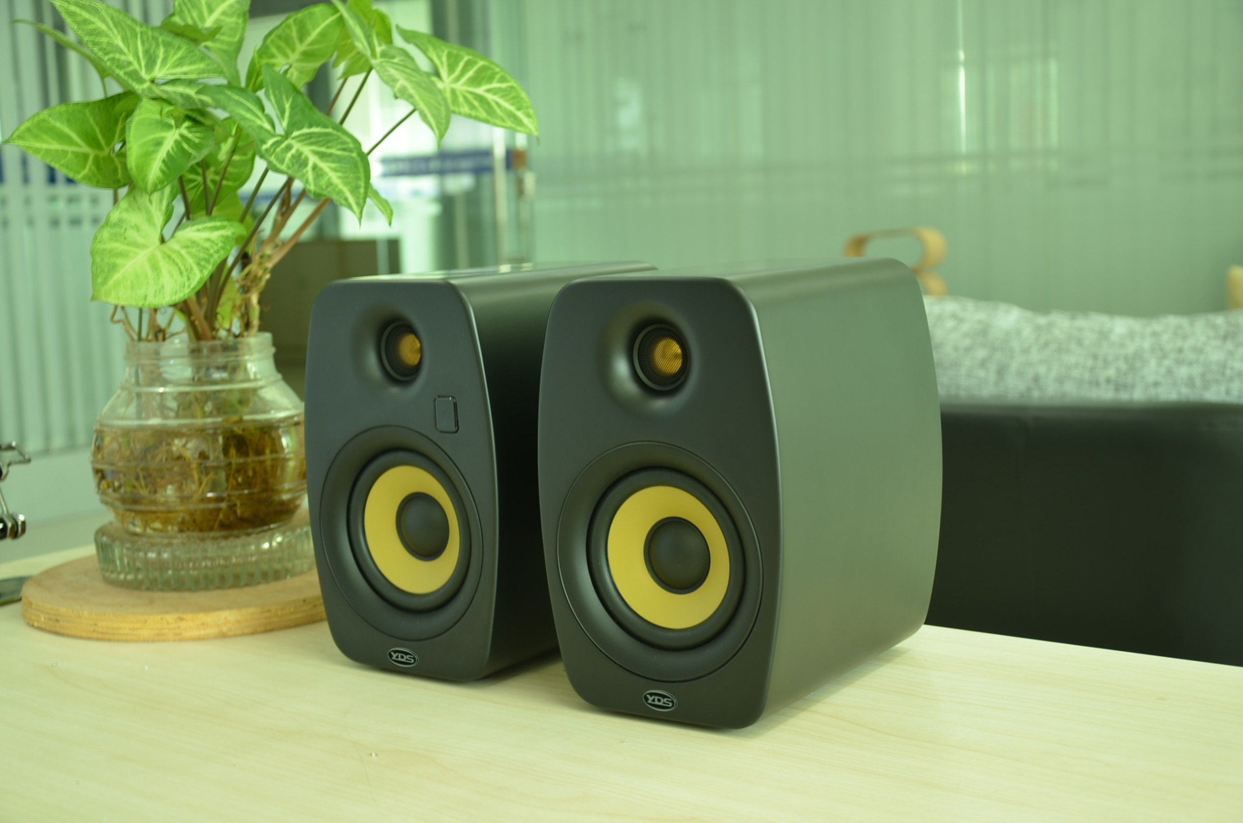 What is the importance of the portable speaker?