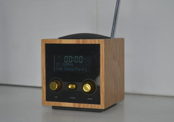 Mini DAB and FM radio showing AC adaptor DC IN 12V1A connection and sleek housing design