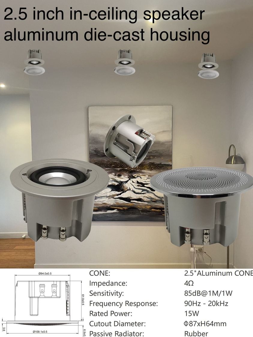 Davvecl Ceiling Speakers