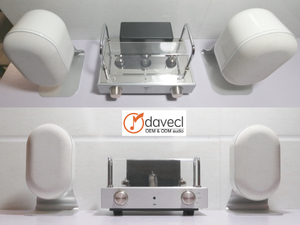 30W HIFI Mini Tube Amplifier