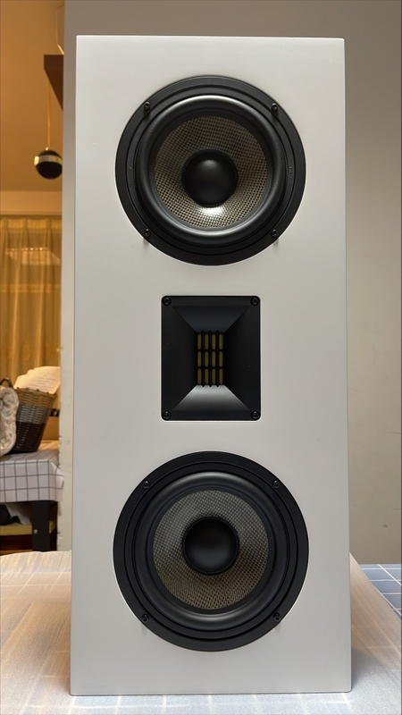 6.5 inch 2-way wall speaker 