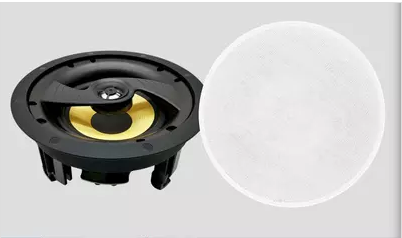 How much do you know about Ceiling speaker?